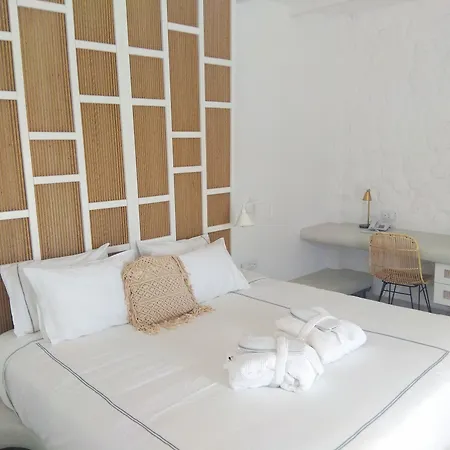 Petri 4*