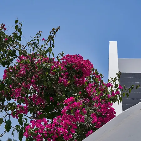 Hotel Petri 4*
